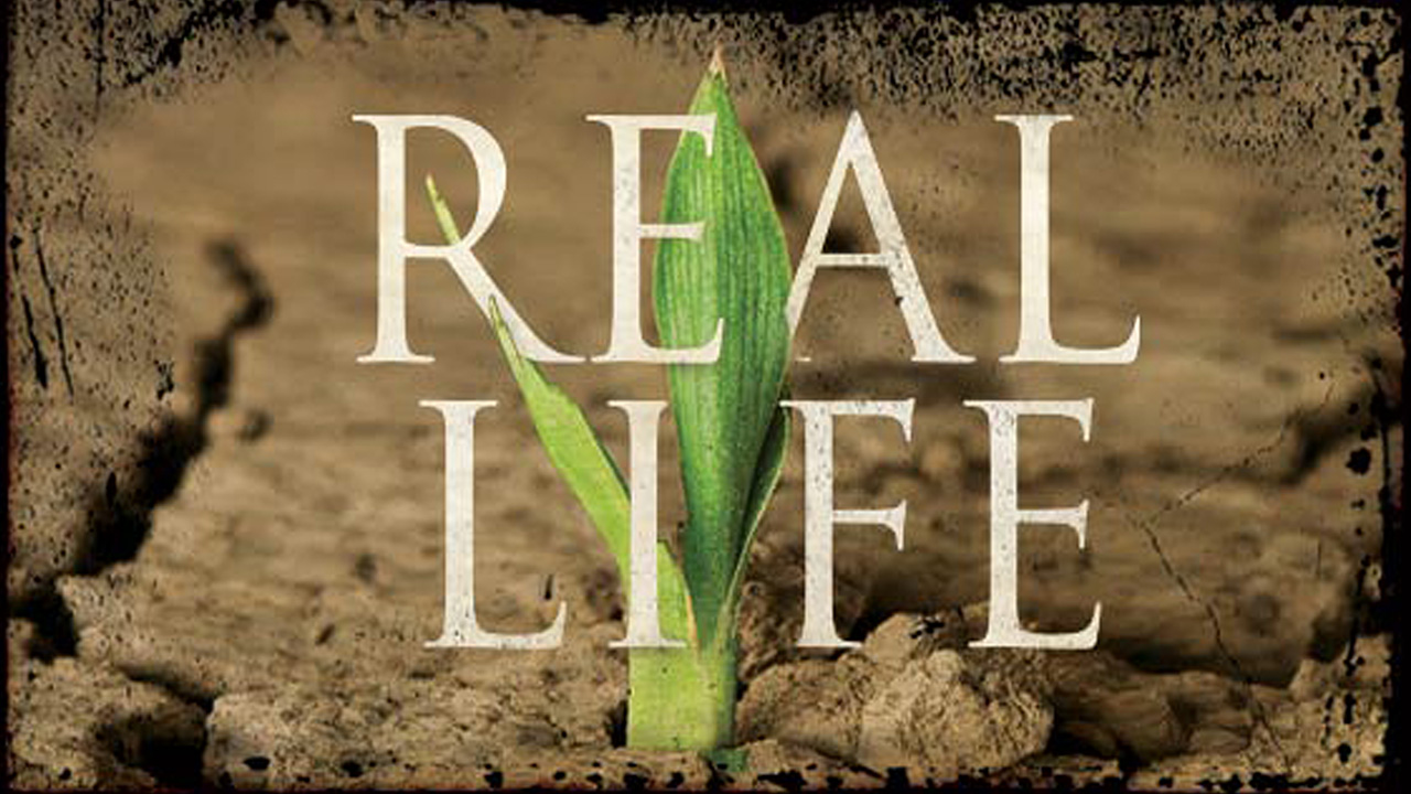 Real Life