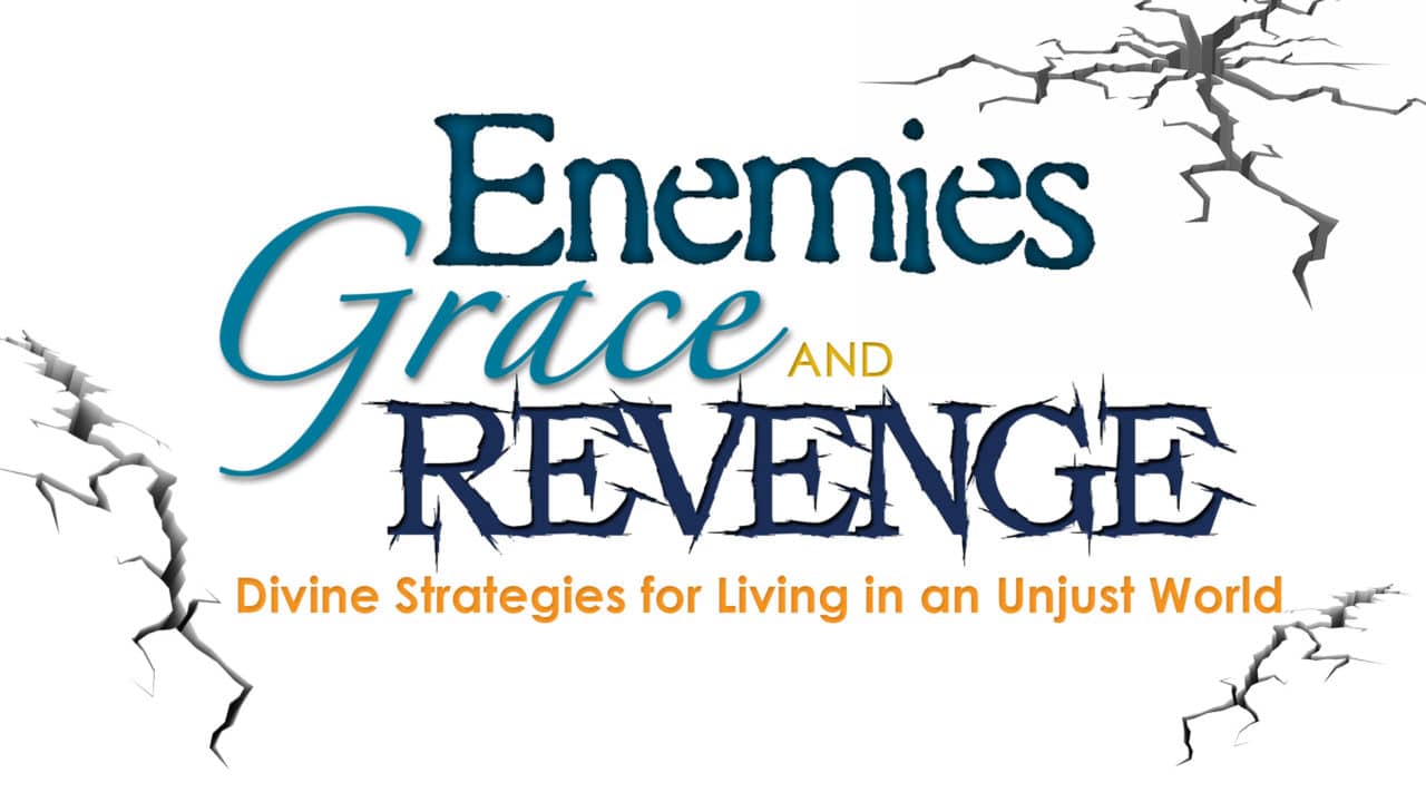 Enemies, Grace, and Revenge Series