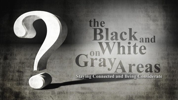 The Black and White on Gray Areas Series