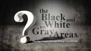 The Black and White on Gray Areas Series