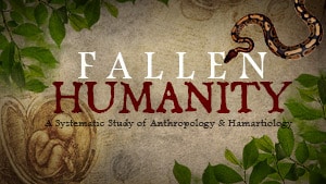 Fallen Humanity Series