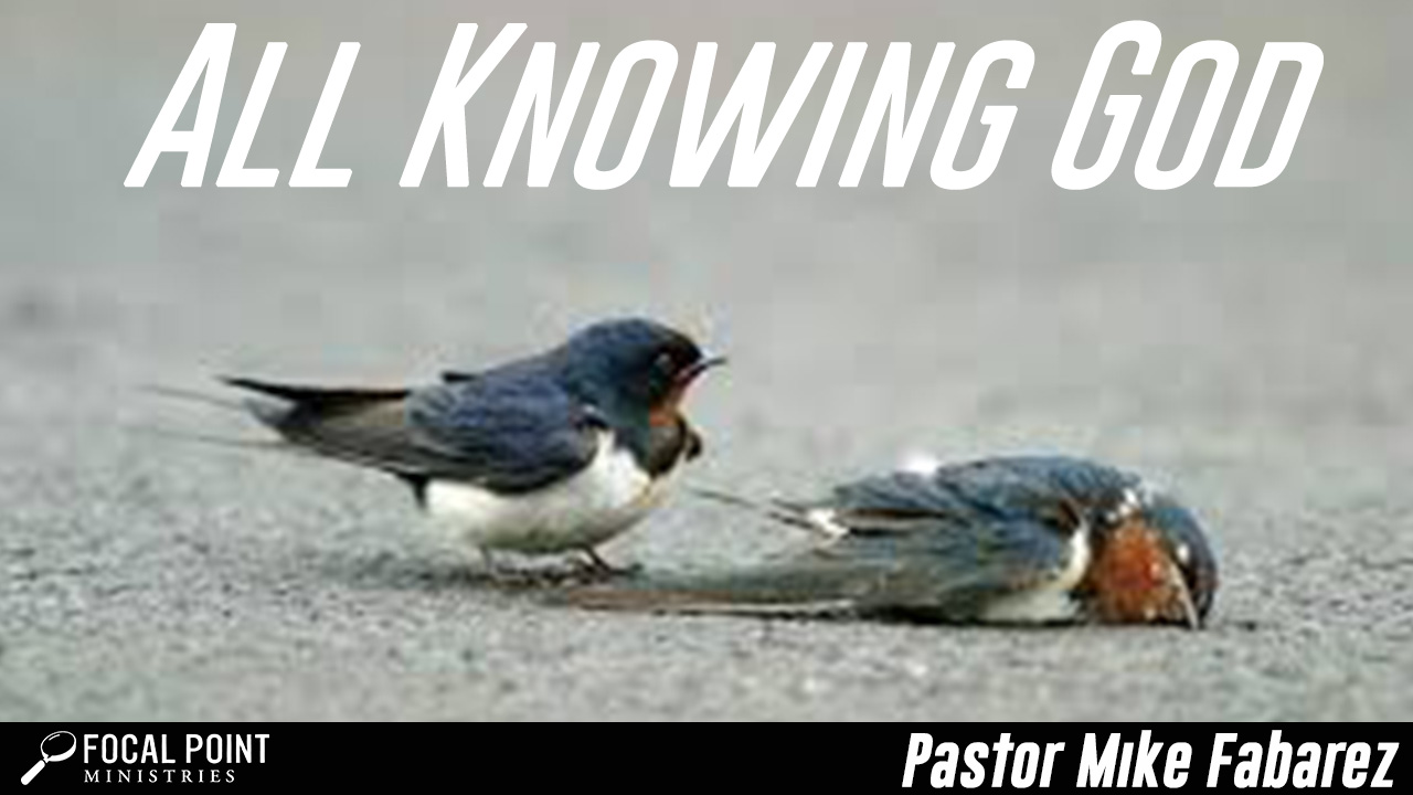 All Knowing God