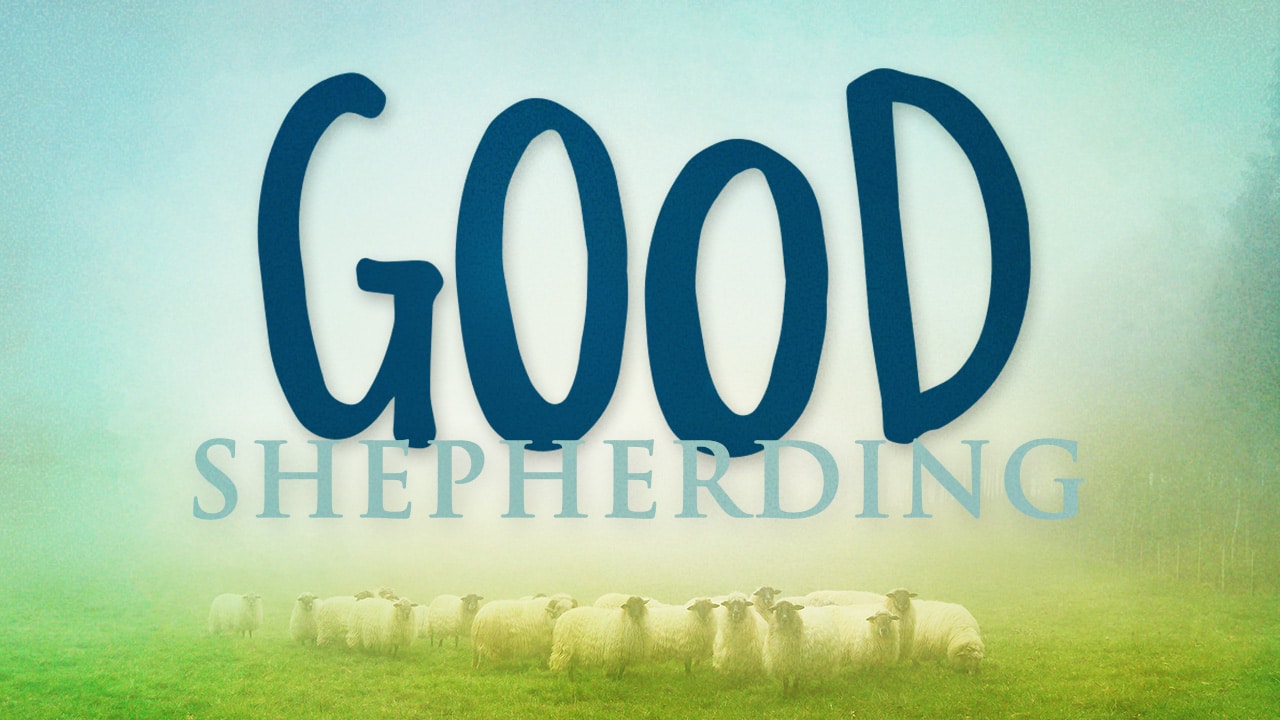 Good Shepherding Series