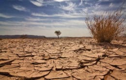 Devotional Spiritual Famine