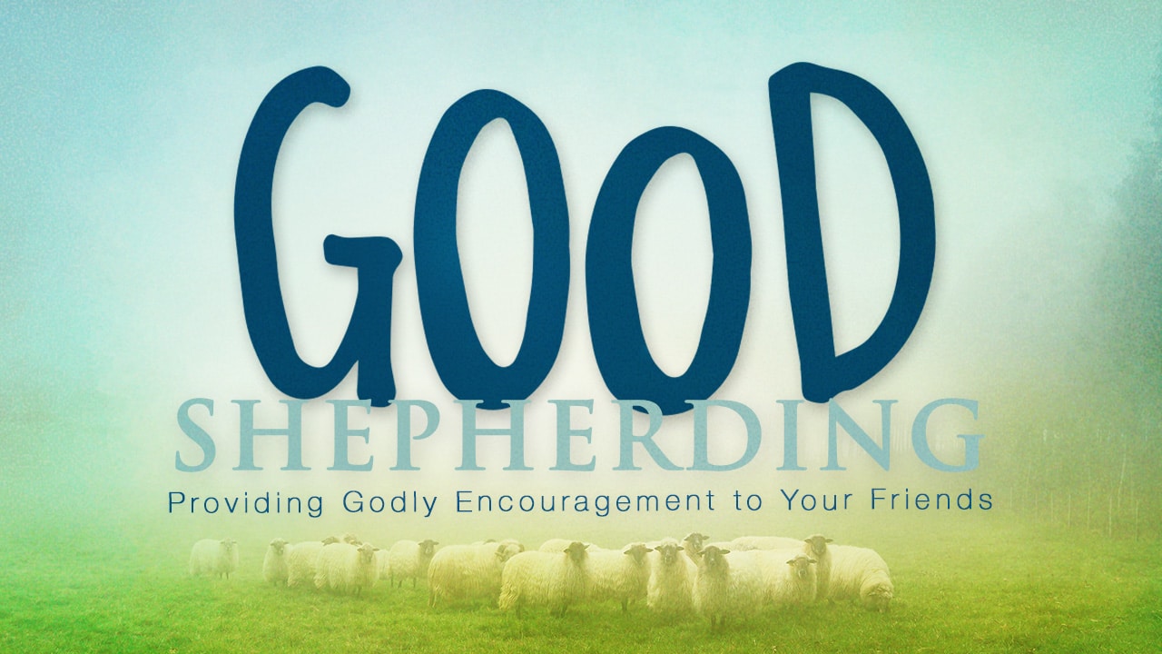 Good Shepherding-Part 2