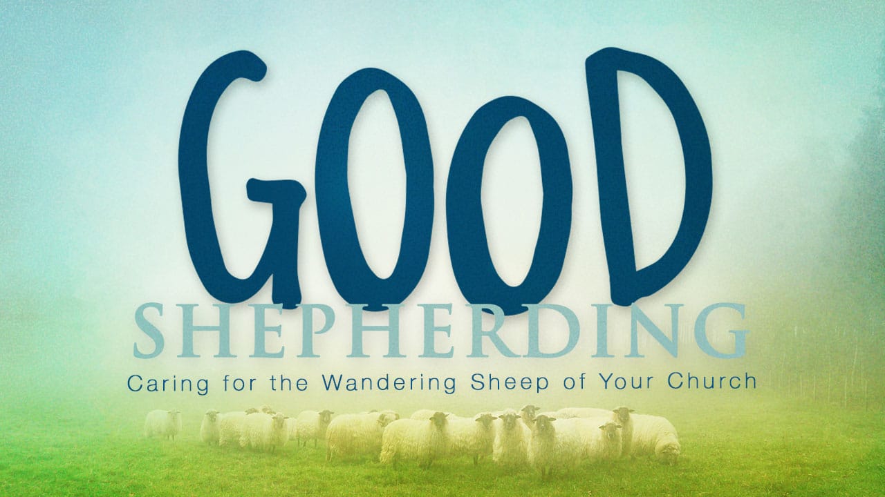 Good Shepherding-Part 3