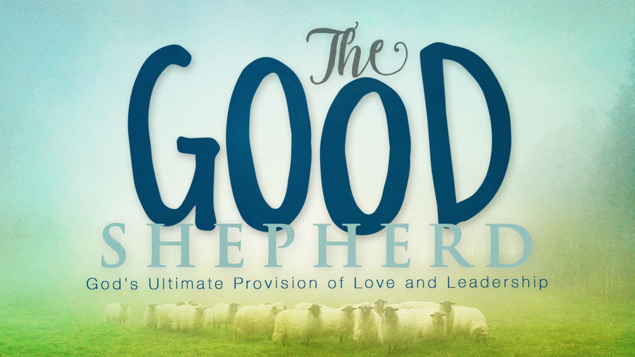 Good Shepherding-Part 4