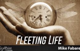 Fleeting Life