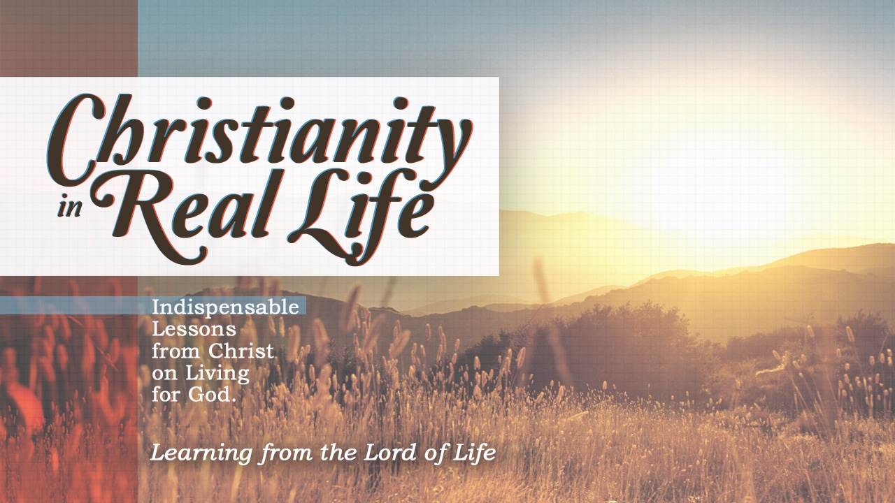 Christianity in Real Life Series