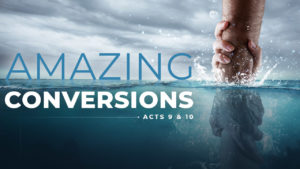 Amazing Conversions Series