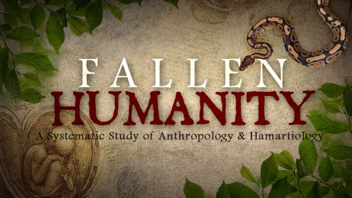Fallen Humanity Series