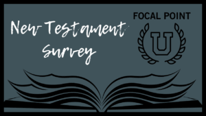 New Testament Survey
