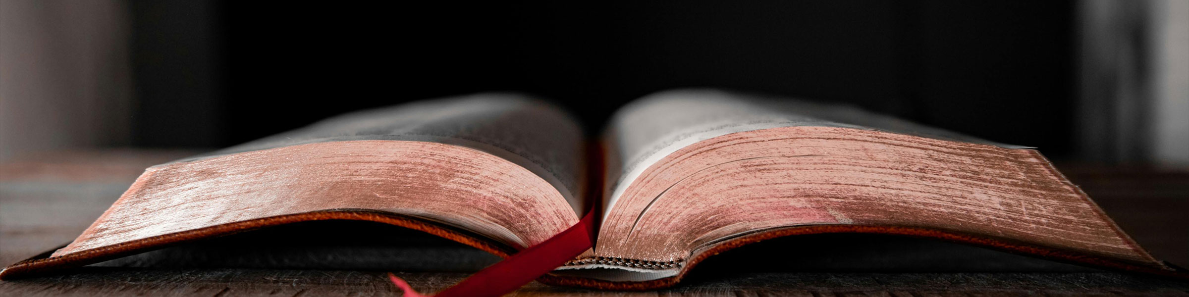 photo: open bible